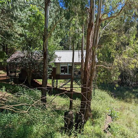 Stoneyhall Farm Accommodation อันเดอร์เบิร์ก ภายนอก รูปภาพ