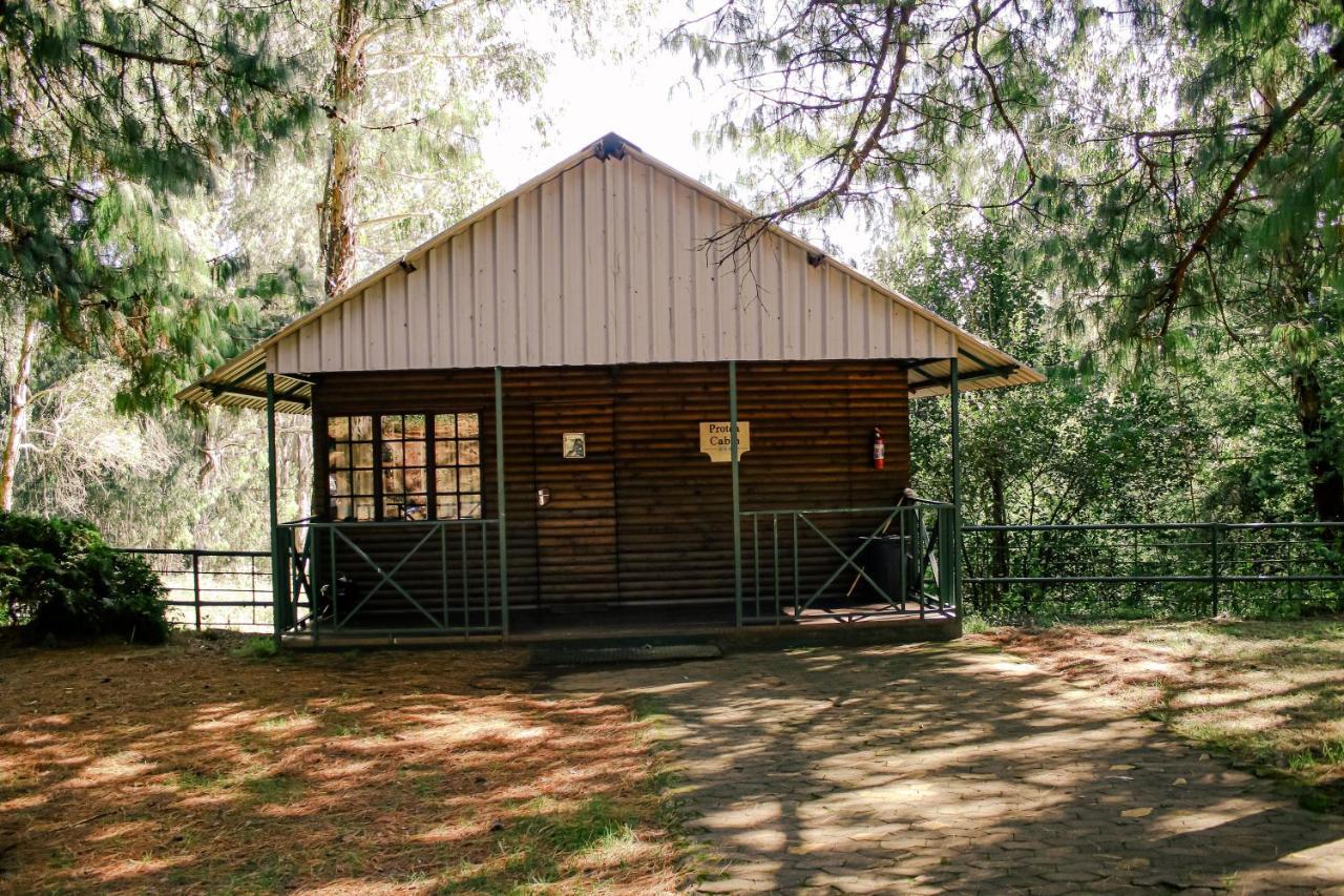 Stoneyhall Farm Accommodation อันเดอร์เบิร์ก ภายนอก รูปภาพ