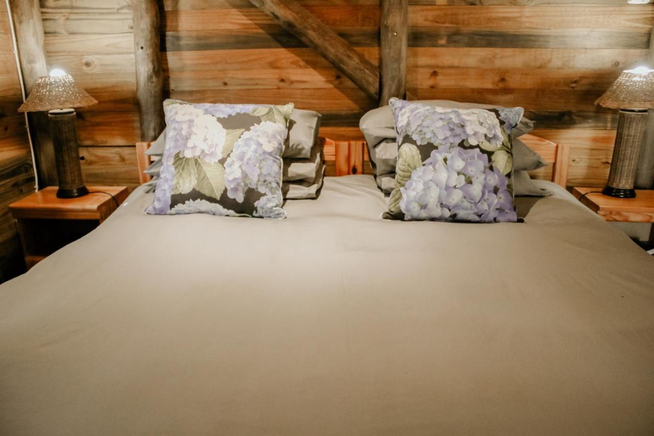 Stoneyhall Farm Accommodation อันเดอร์เบิร์ก ภายนอก รูปภาพ