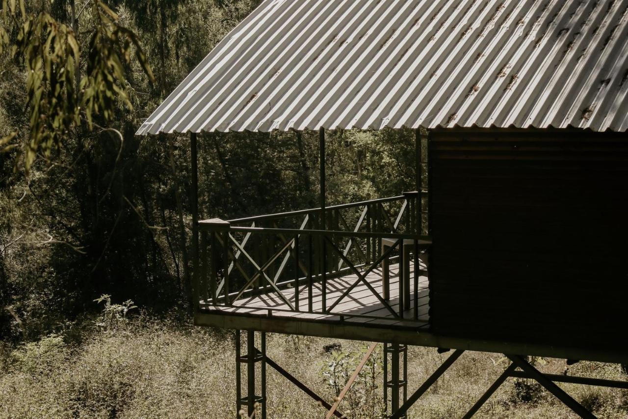 Stoneyhall Farm Accommodation อันเดอร์เบิร์ก ภายนอก รูปภาพ