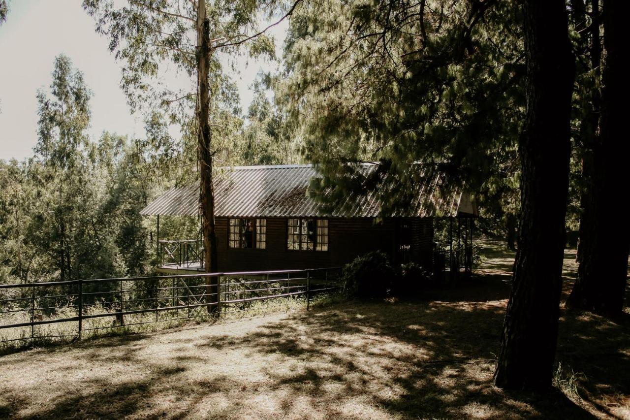 Stoneyhall Farm Accommodation อันเดอร์เบิร์ก ภายนอก รูปภาพ