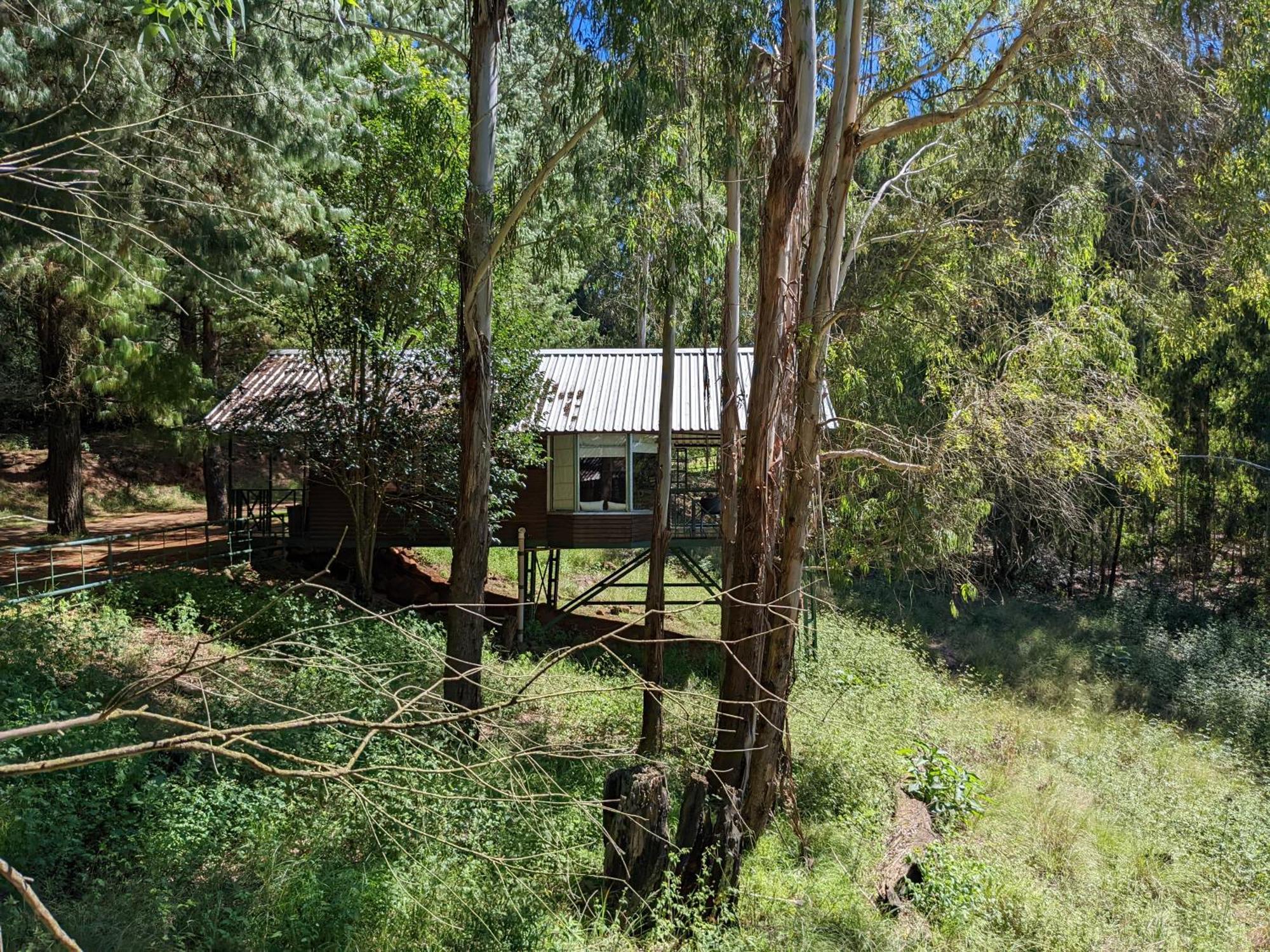 Stoneyhall Farm Accommodation อันเดอร์เบิร์ก ภายนอก รูปภาพ