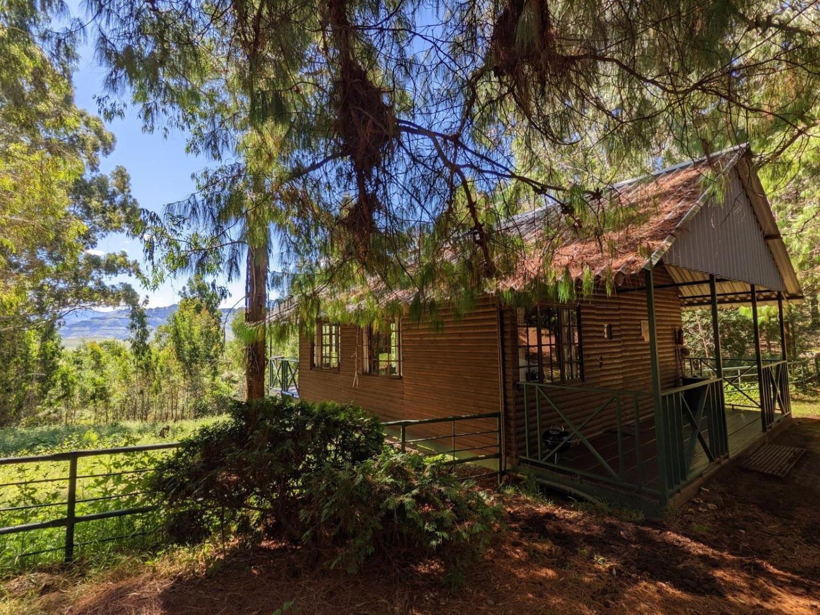 Stoneyhall Farm Accommodation อันเดอร์เบิร์ก ภายนอก รูปภาพ